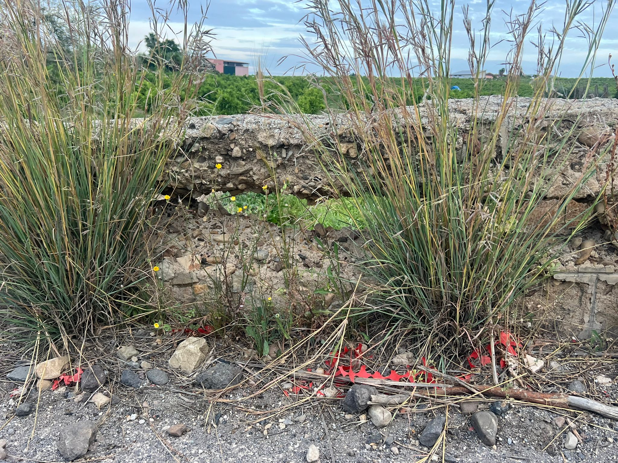 PATERNO'. CONDIZIONI CRITICHE SULLA SP 102/I: APPELLO DI CONFAGRICOLTURA ALLA CITTÀ METROPOLITANA