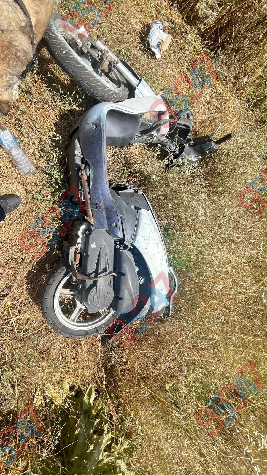 PATERNÒ, SCOOTER ABBANDONATO TRA I RIFIUTI: LA SEGNALAZIONE DI UN CITTADINO