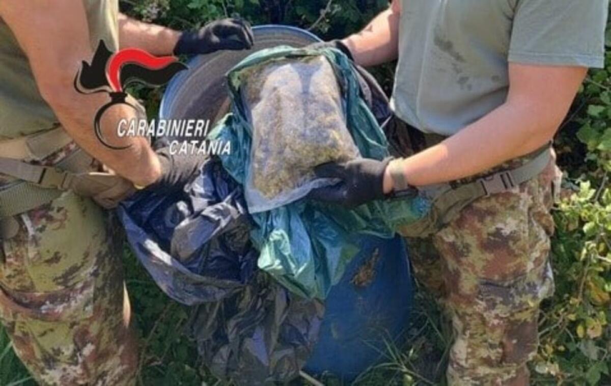 PATERNÒ, MAXI SEQUESTRO DI DROGA: DUE ARRESTI E OLTRE UN CHILO DI MARIJUANA SCOPERTI IN UN CASOLARE - 