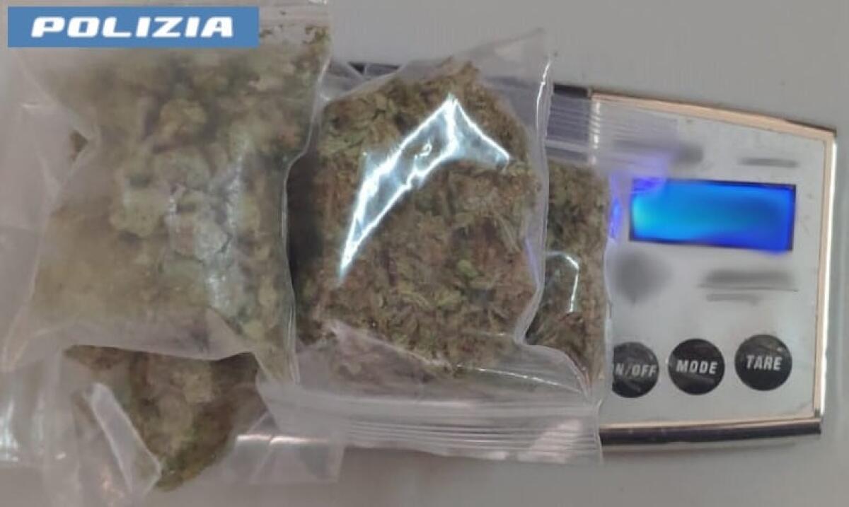 CATANIA. Fermati con marijuana e cocaina pronte allo spaccio: arrestati due giovani - 