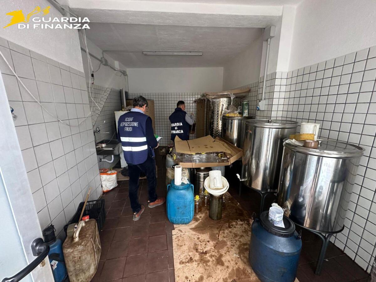 Lecce, sequestrate 38 tonnellate di olio destinato a mense scolastiche e per anziani: denunciati tre imprenditori - 
