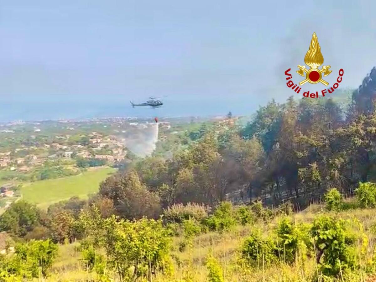 ZAFFERANA, ROGO NELLA ZONA DI MONTE ILICE, PAURA PER UN PALMENTO E I MEZZI ALL’INTERNO - 