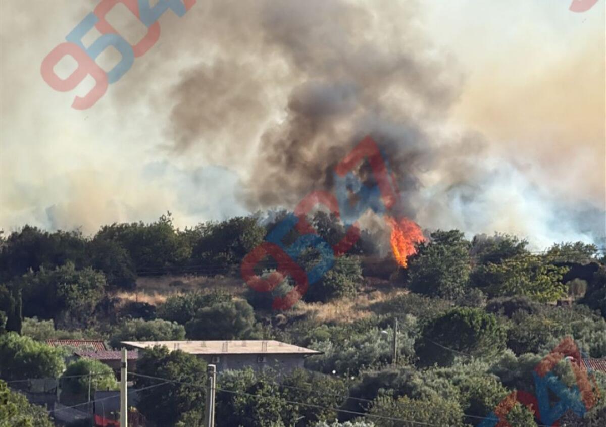 VASTI INCENDI IN CORSO: FIAMME IN ZONA RAGALNA , MOTTA SANT'ANASTASIA  E JANNARELLO, INGENTI DANNI A COLTURE E AGRUMETI - 