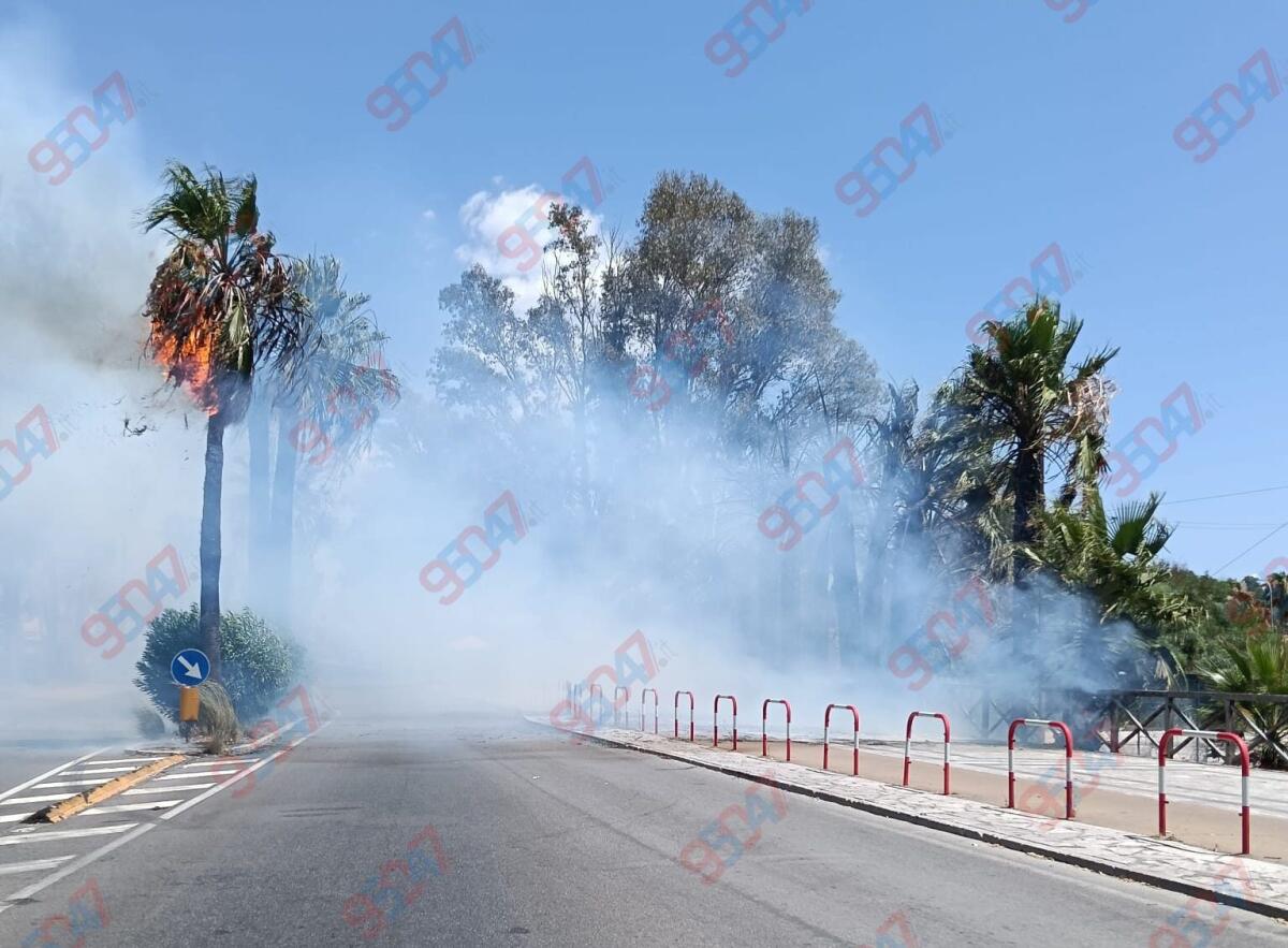 Fiamme alla Playa di Catania: in fumo palme e vegetazione - 
