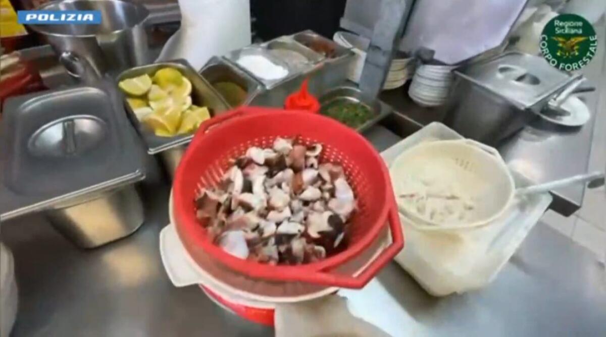 Capo Mulini, blitz nei ristoranti: sanzioni per oltre 25mila euro e 300 kg di alimenti sequestrati - 