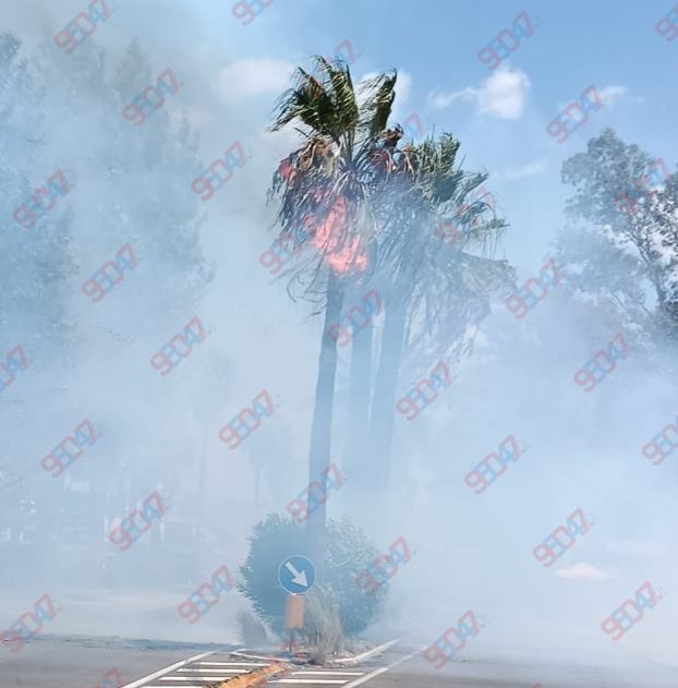 Fiamme alla Playa di Catania: in fumo palme e vegetazione