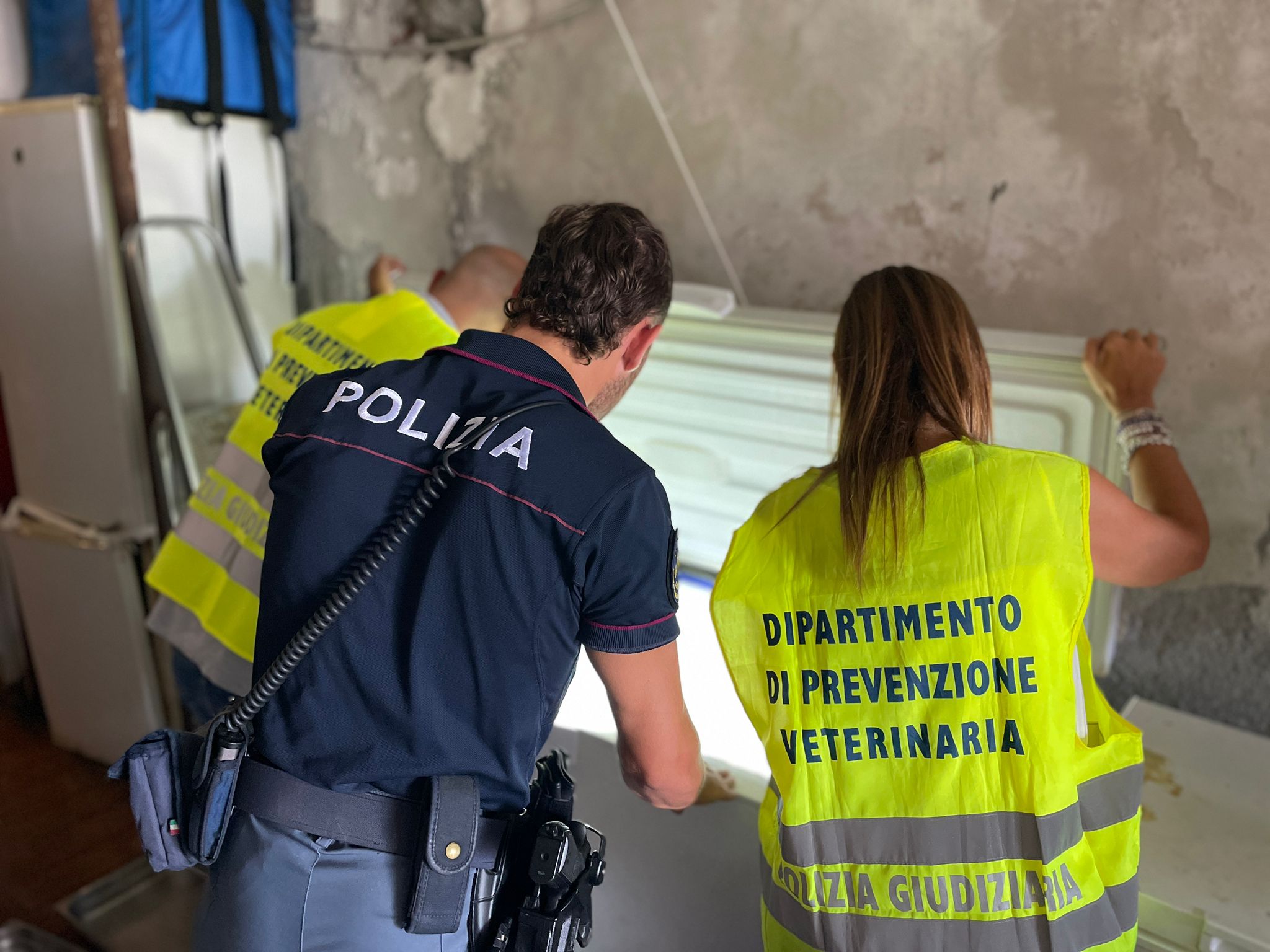 SPORCIZIA IN UN RISTORANTE E IN UN PANIFICIO DI ACI TREZZA: 14 MILA EURO DI SANZIONI. SEQUESTRATI 80 CHILI DI PESCE NON IDONEO AL CONSUMO UMANO