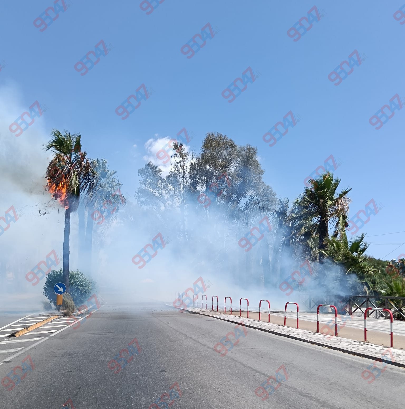 Fiamme alla Playa di Catania: in fumo palme e vegetazione