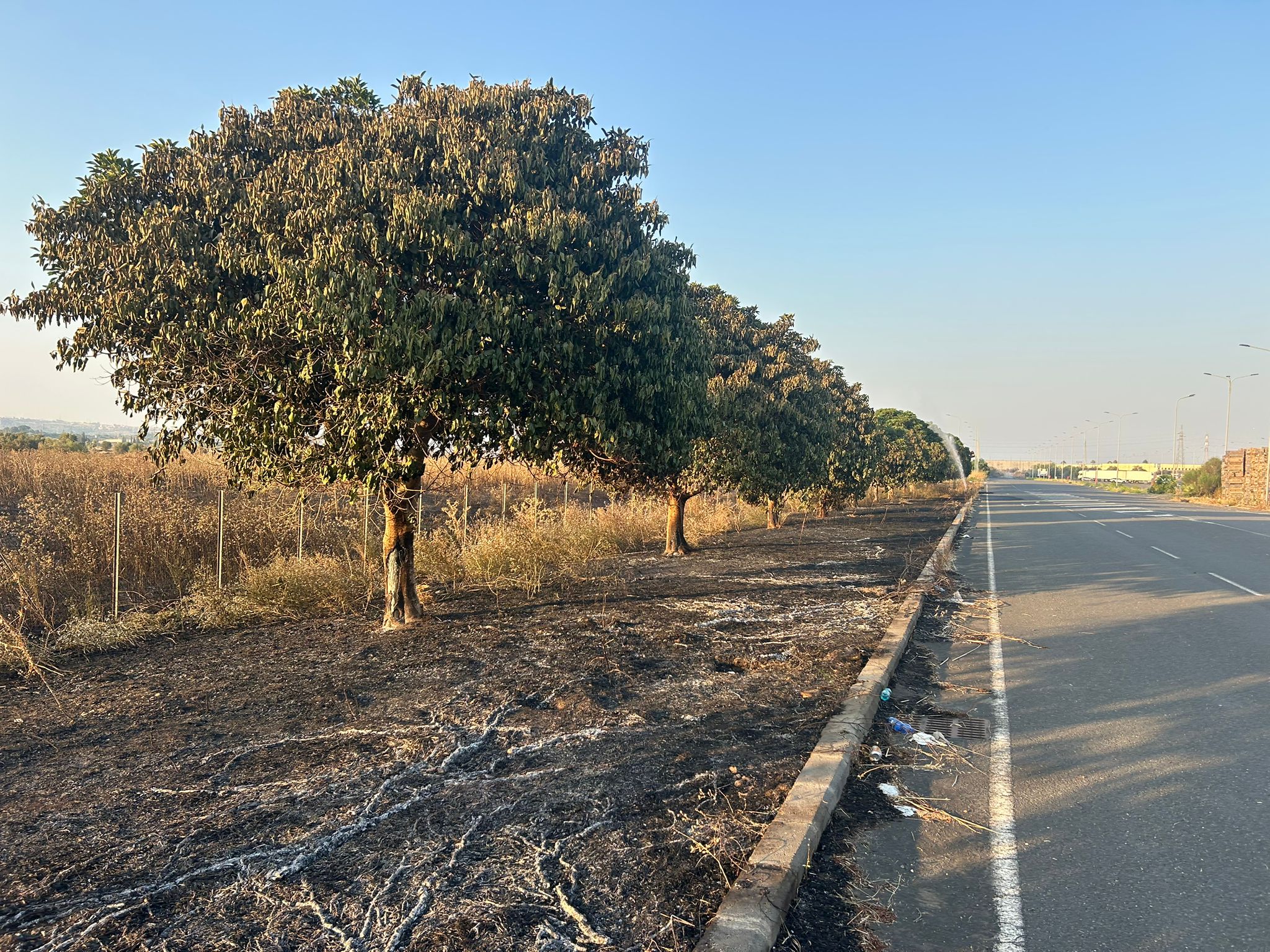 EMERGENZA INCENDI NEL CATANESE: OLTRE 100 INTERVENTI, DIPENDENTE DEL MAAS INTOSSICATO