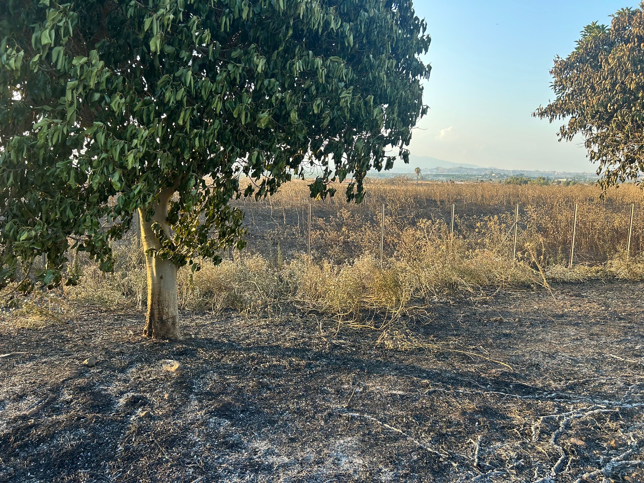 EMERGENZA INCENDI NEL CATANESE: OLTRE 100 INTERVENTI, DIPENDENTE DEL MAAS INTOSSICATO