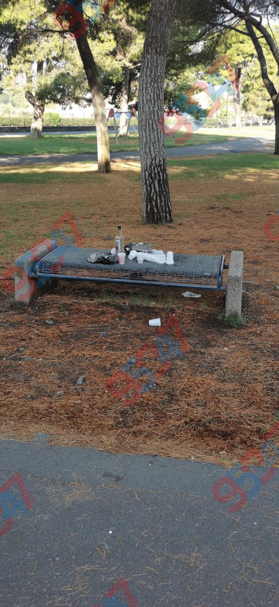 PATERNÒ, "APERITIVO SU UNA PANCHINA" AL PARCO DEL SOLE: LA DENUNCIA FOTOGRAFICA DI UN LETTORE