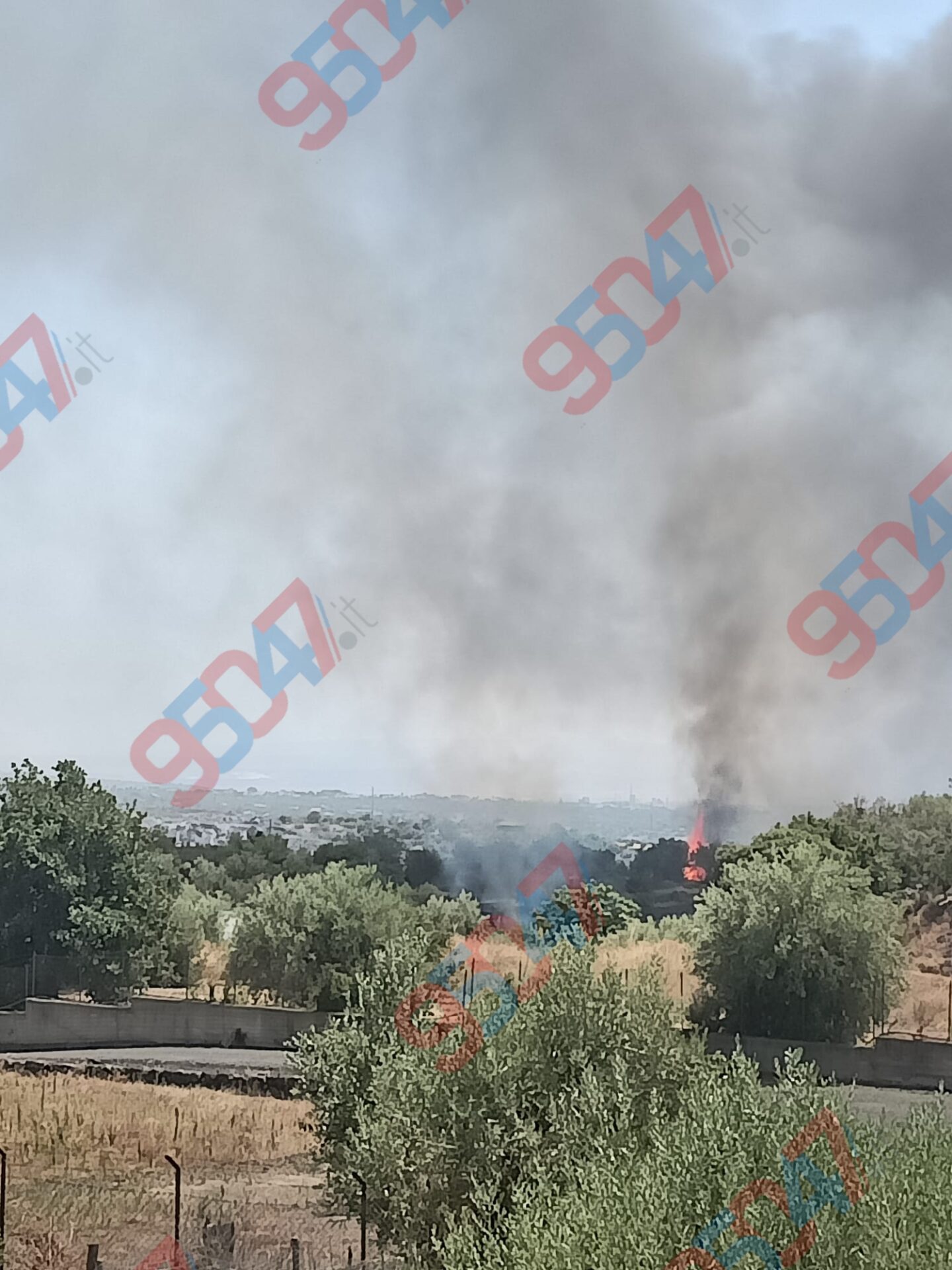 PATERNÒ, CONTRADA SCALILLI IN FIAMME: VASTO INCENDIO TUTT’ORA IN CORSO, MINACCIATI I CASOLARI, FUMO VISIBILE A DISTANZA