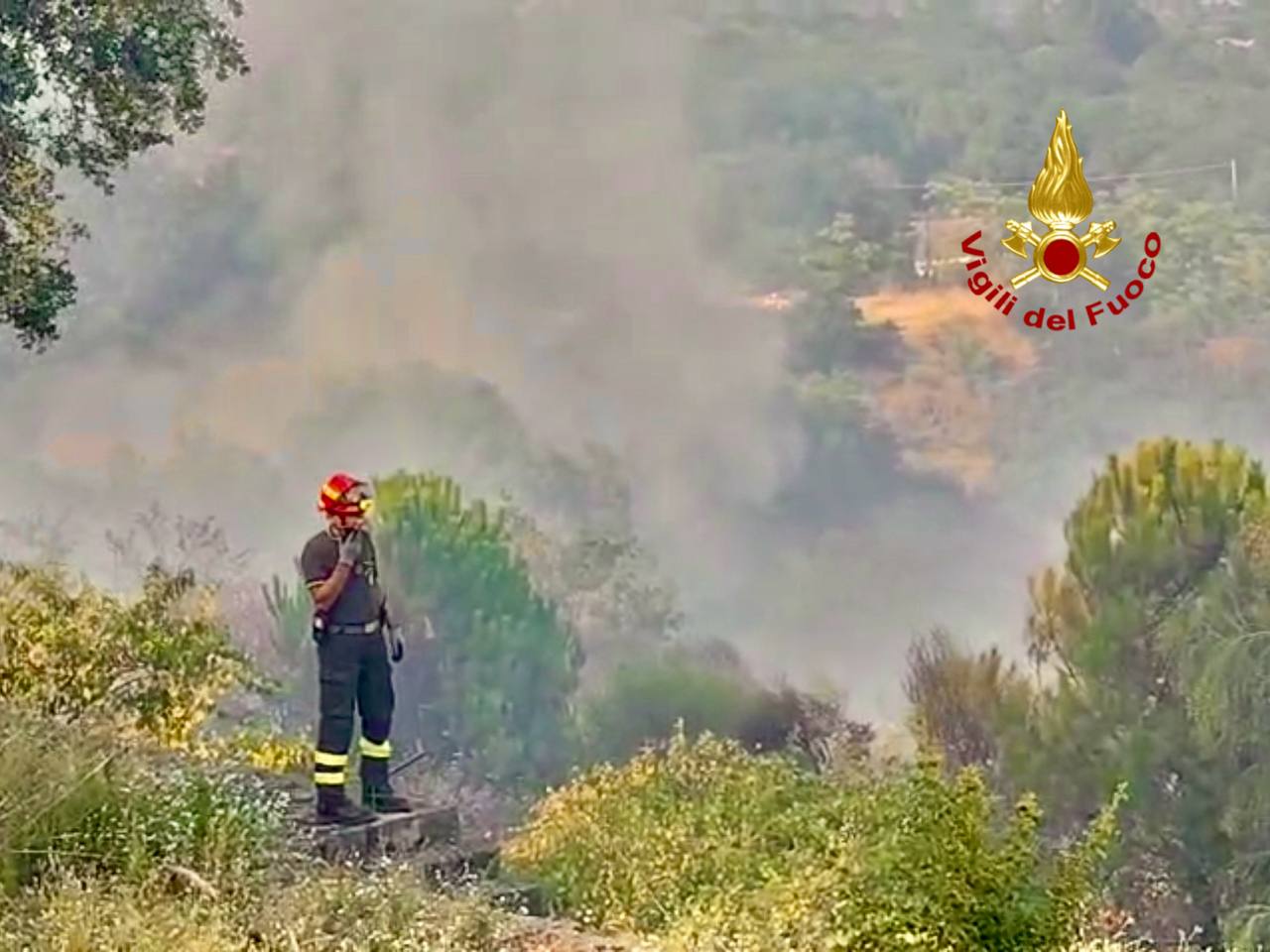 ZAFFERANA, ROGO NELLA ZONA DI MONTE ILICE, PAURA PER UN PALMENTO E I MEZZI ALL’INTERNO
