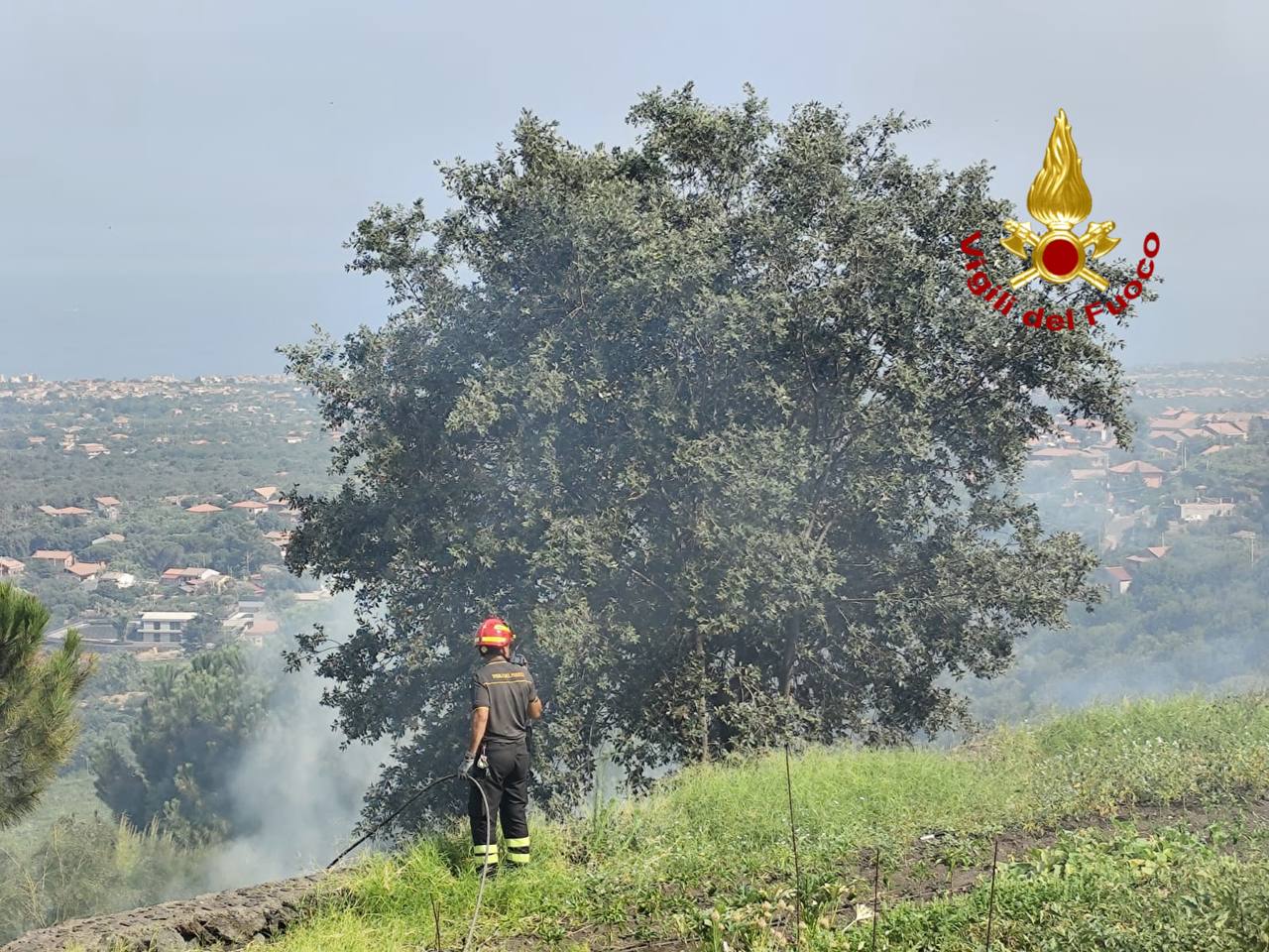 ZAFFERANA, ROGO NELLA ZONA DI MONTE ILICE, PAURA PER UN PALMENTO E I MEZZI ALL’INTERNO