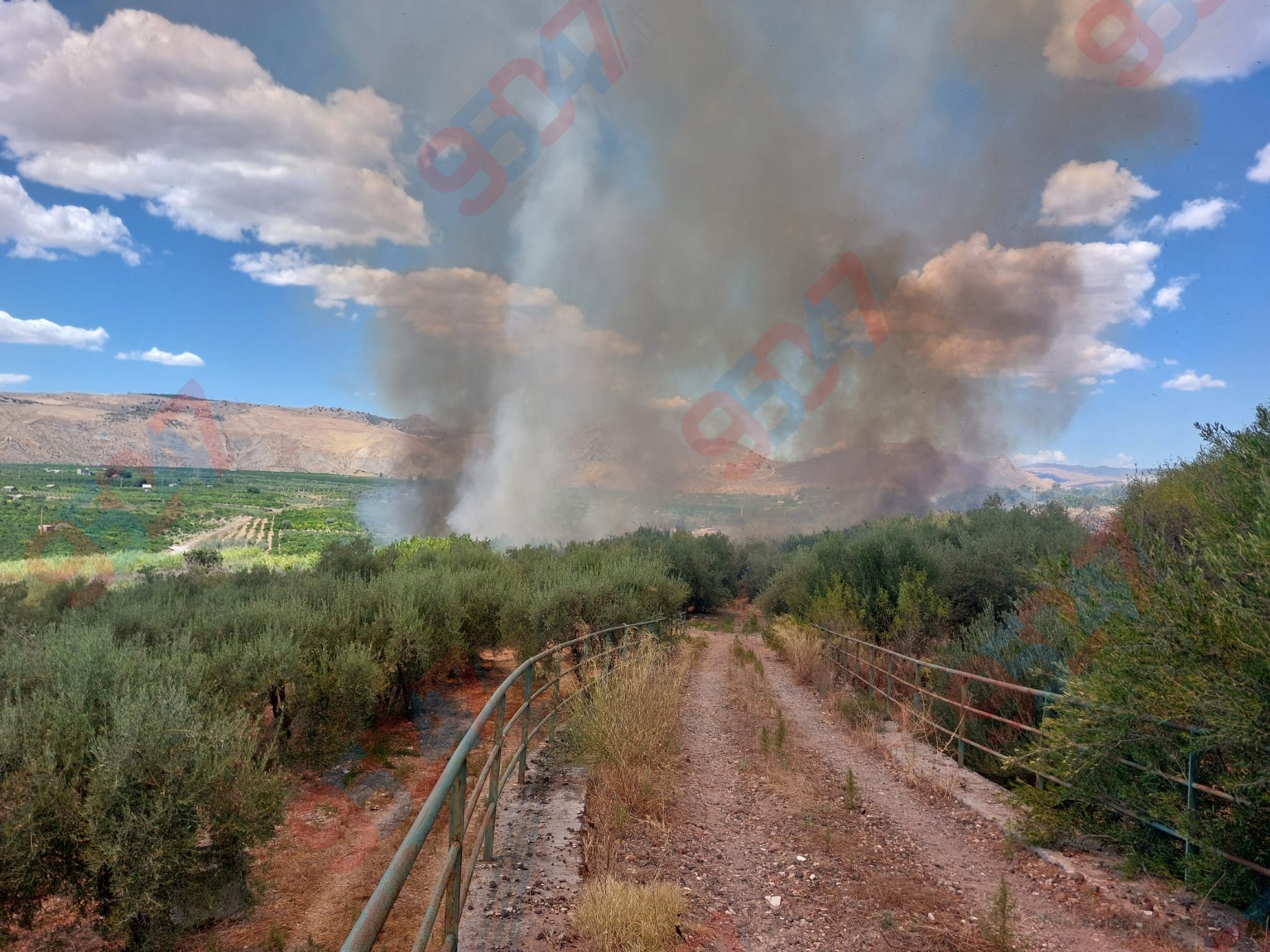 VASTO INCENDIO A PATERNÒ: FIAMME IN ZONA PONTE BARCA, RICHIESTO L’INTERVENTO AEREO