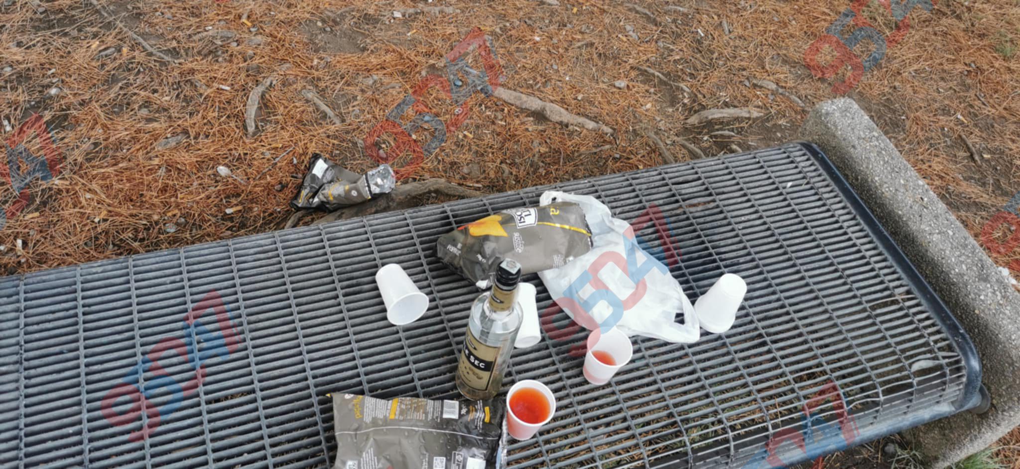 PATERNÒ, "APERITIVO SU UNA PANCHINA" AL PARCO DEL SOLE: LA DENUNCIA FOTOGRAFICA DI UN LETTORE