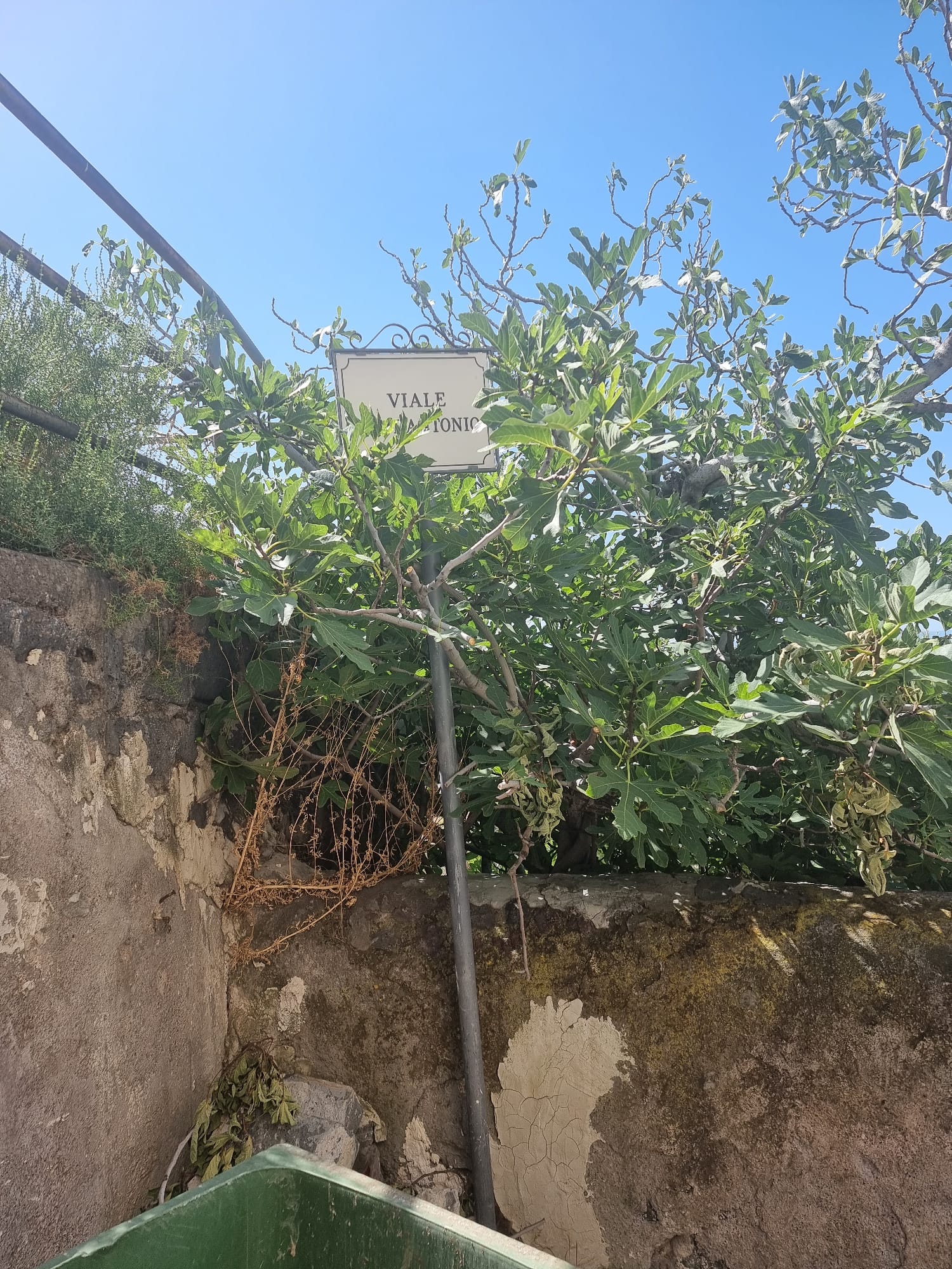 PATERNÒ, LA DENUNCIA DI UNA LETTRICE: "CIMITERO NEL DEGRADO, VETRI ROTTI E FURTI DI PIANTE E BOTTIGLIE"