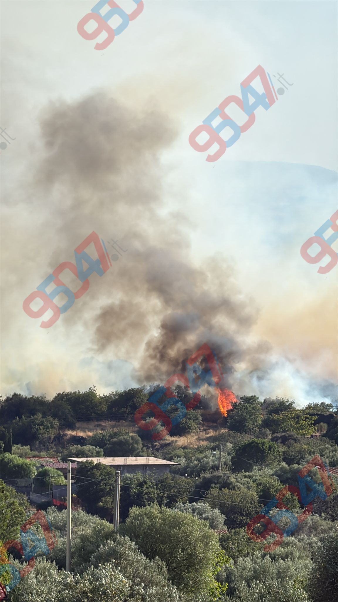 VASTI INCENDI IN CORSO: FIAMME IN ZONA RAGALNA , MOTTA SANT'ANASTASIA  E JANNARELLO, INGENTI DANNI A COLTURE E AGRUMETI
