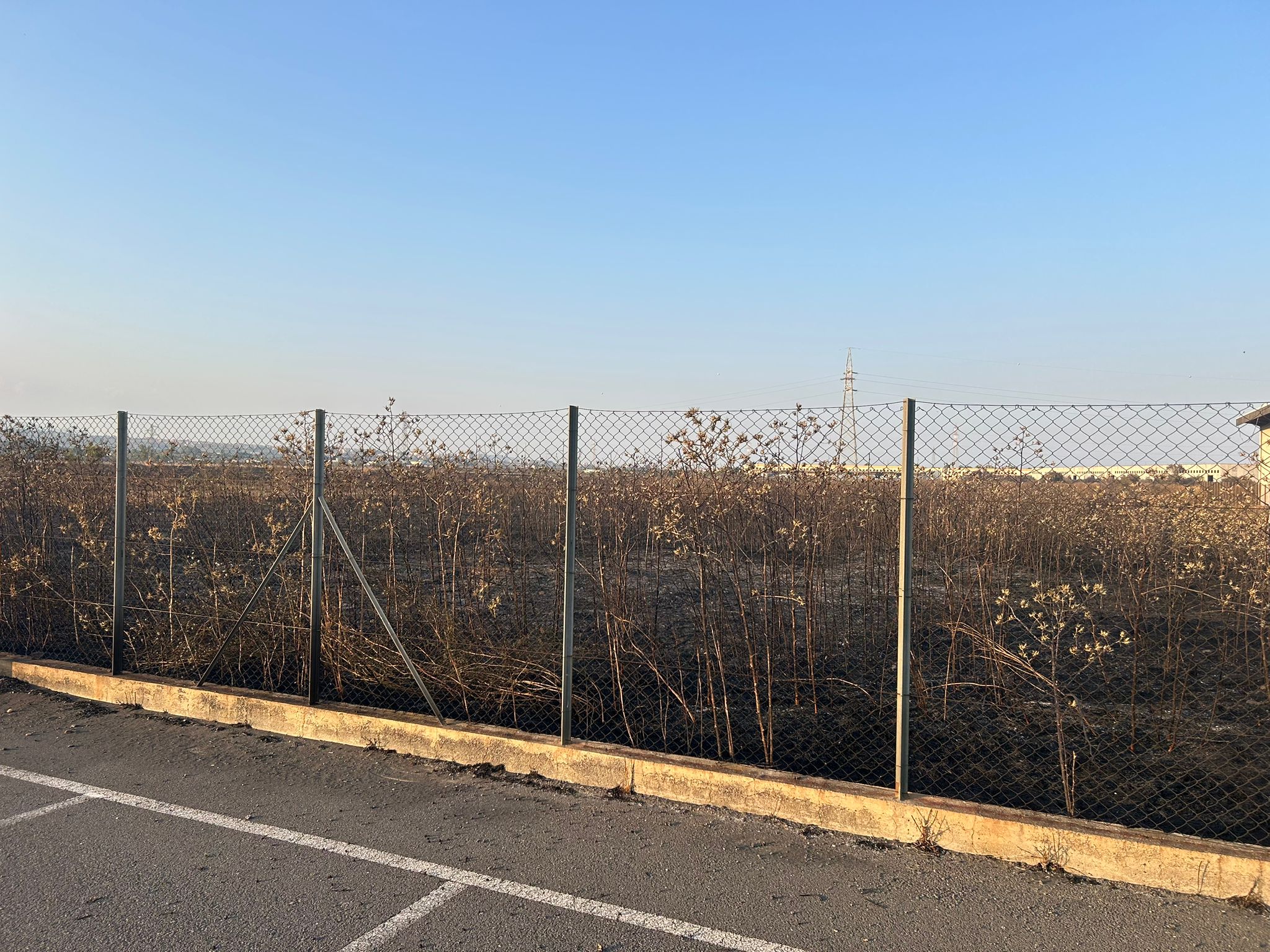 EMERGENZA INCENDI NEL CATANESE: OLTRE 100 INTERVENTI, DIPENDENTE DEL MAAS INTOSSICATO