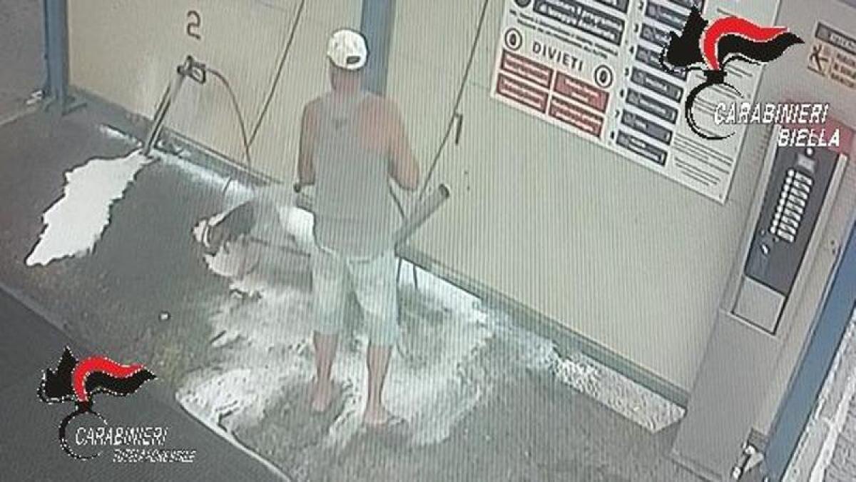 BIELLA, LAVA IL CANE ALL'AUTOLAVAGGIO CON LA POMPA DELL'ACQUA SAPONATA AD ALTA PRESSIONE. DENUNCIATO PER MALTRATTAMENTI - 