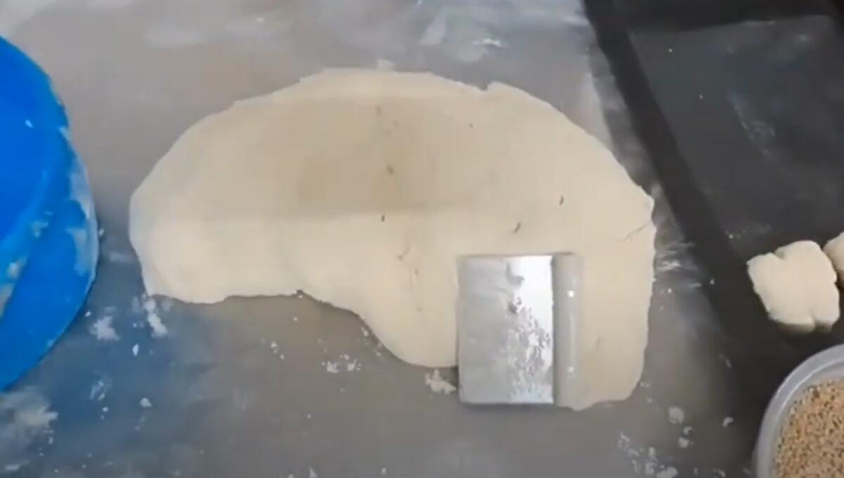 Catania, blatte nel panificio del Borgo: sospeso il laboratorio e multa da 9.000 euro - 