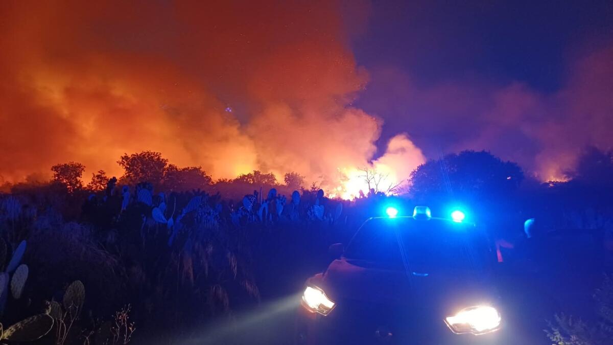 CAMPOROTONDO ETNEO, FIAMME NEI PRESSI DEL VILLAGGIO SANT’ANTONIO ABATE: CASE EVACUATE, IN AZIONE VIGILI DEL FUOCO E PROTEZIONE CIVILE - 