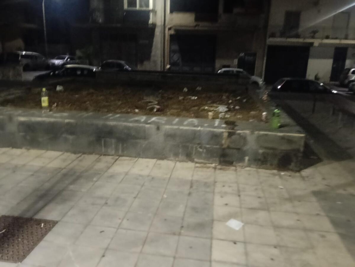 Paternò, Piazza Ficus tra degrado e rischio sanitario: la segnalazione di Giuseppe Privitera - 