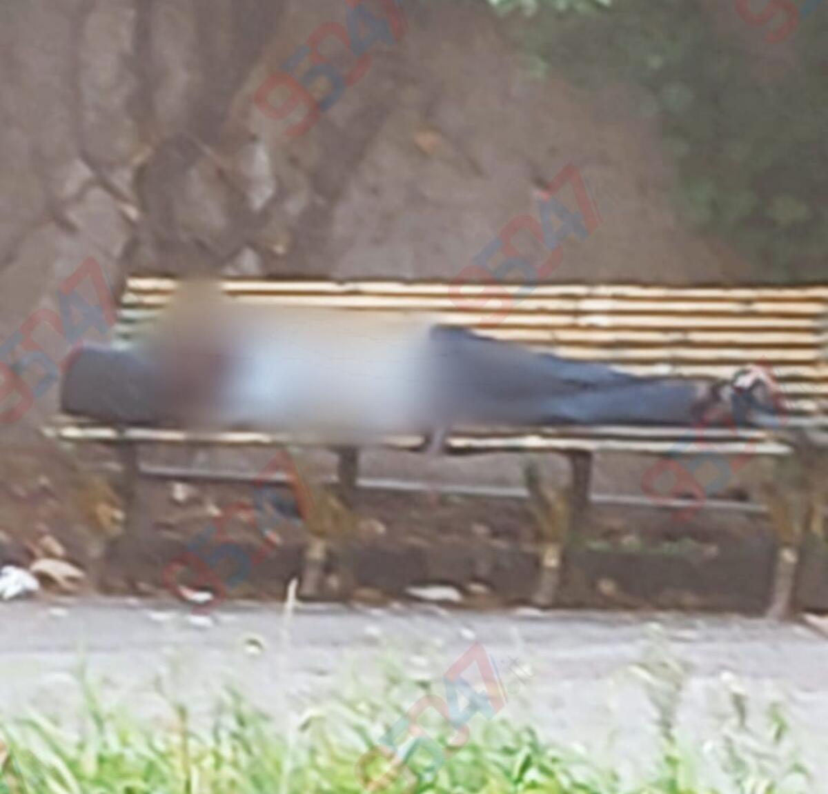 Paternò, degrado a Villa Moncada: extracomunitari dormono sulle panchine, rifiuti tra i viali e luci all’ex albergo Sicilia - 