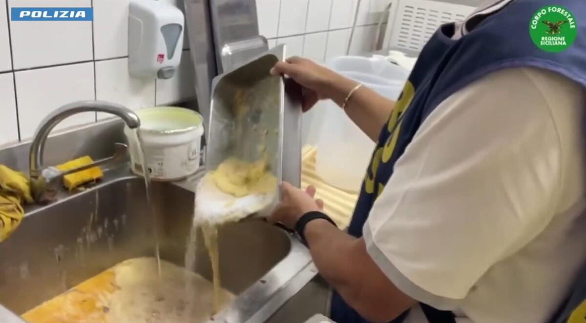 Cibo scaduto, muffa e carne non idonea: maxi sequestro in un bar-ristorante di Piazza Europa, distrutti 196 kg di alimenti - 