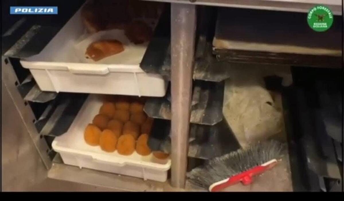 AEROPORTO DI CATANIA, TASK FORCE IN AZIONE: 3 BAR CHIUSI PER BLATTE E IGIENE SHOCK, MA ALTRI 3 SUPERANO I CONTROLLI - 