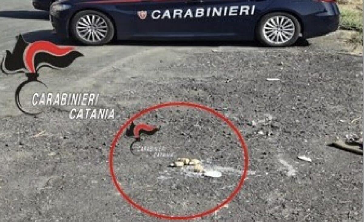 Allarme a Catania, operatore ecologico scopre ordigni esplosivi su strada pubblica - 