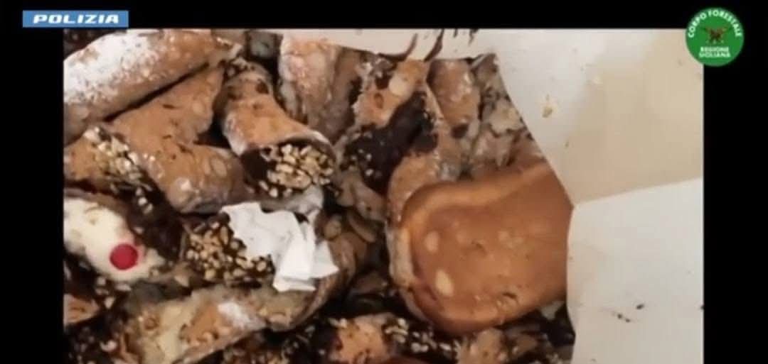 AEROPORTO DI CATANIA, TASK FORCE IN AZIONE: 3 BAR CHIUSI PER BLATTE E IGIENE SHOCK, MA ALTRI 3 SUPERANO I CONTROLLI