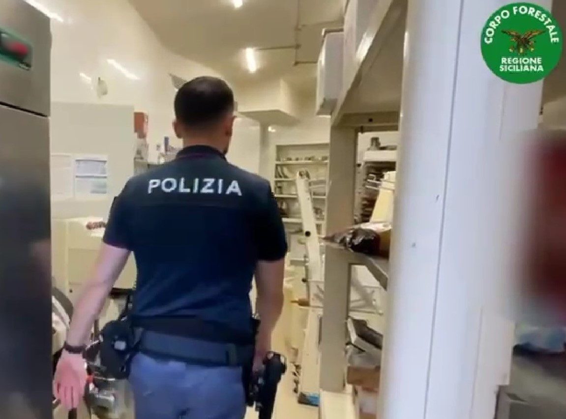 Catania, blatte in laboratorio: chiuso locale sul lungomare e multa da 14.720 euro