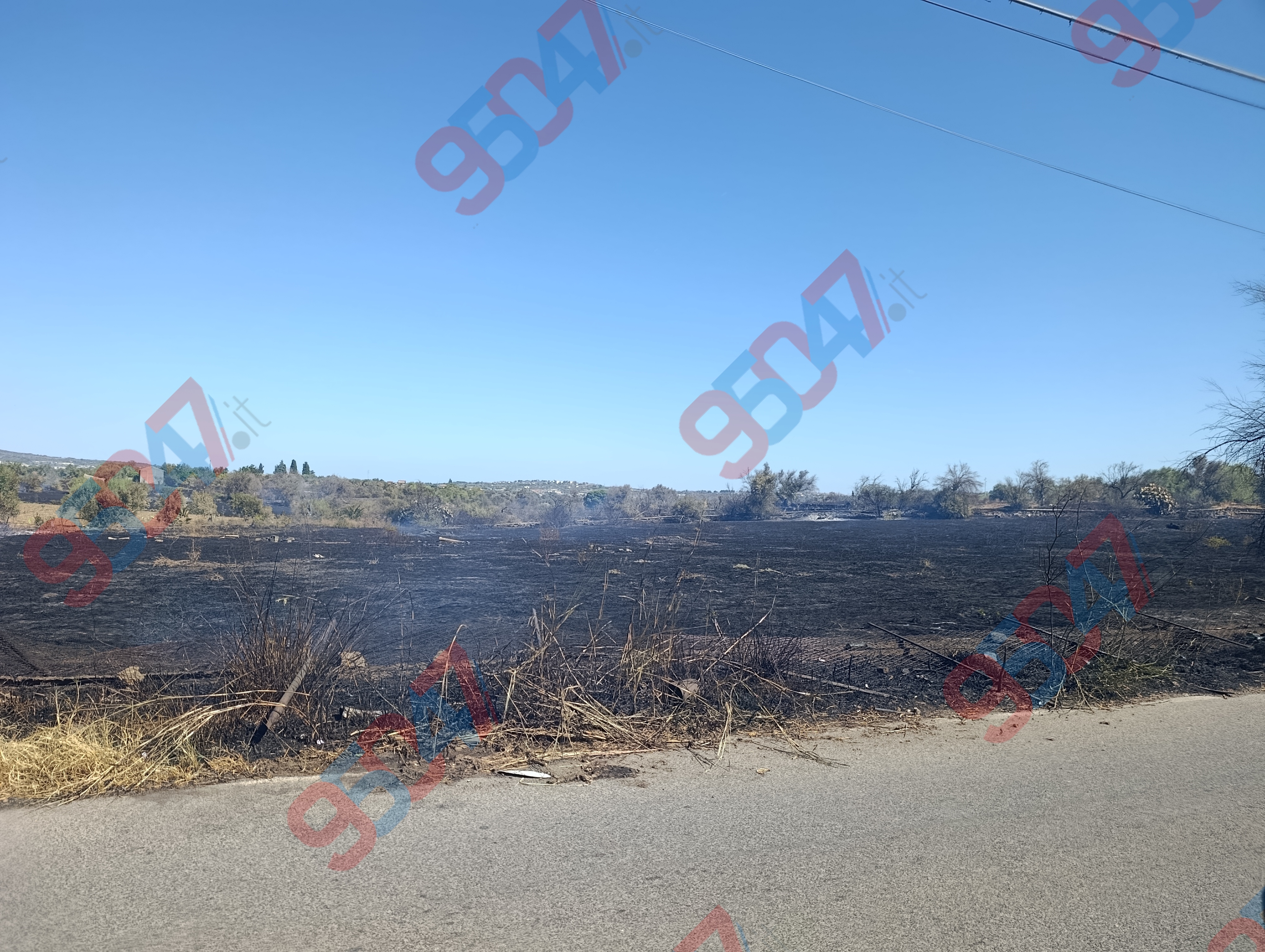 Vasto incendio in corso tra Belpasso e Paternò: ulivi e rovi distrutti dalle fiamme in azione Vigili del Fuoco, Forestale e Protezione Civile