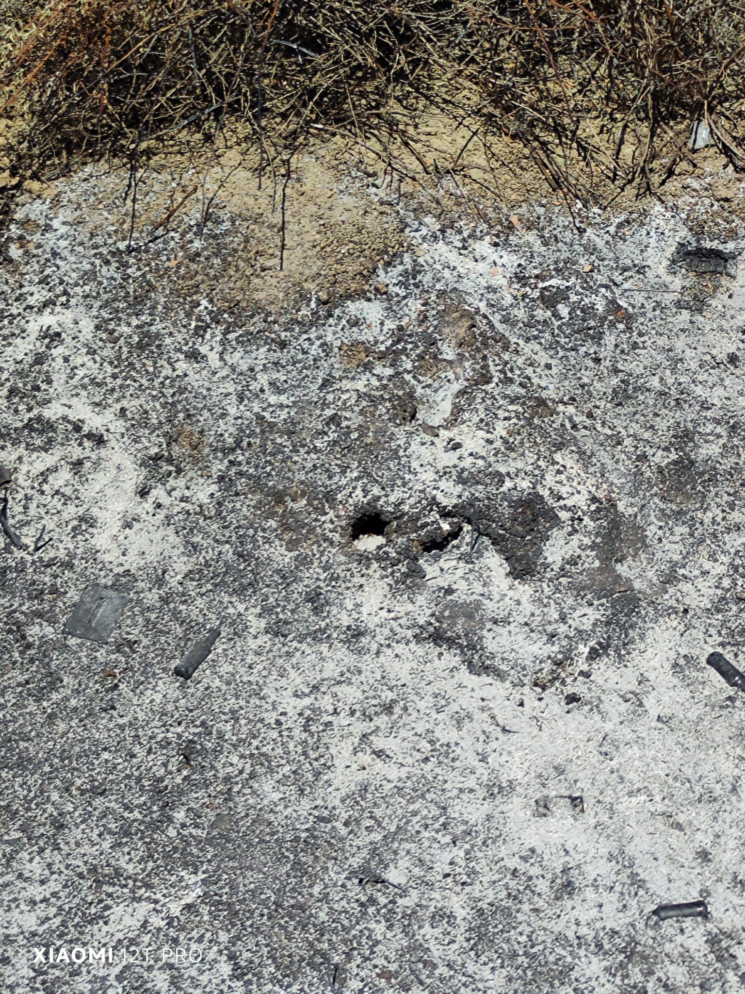 INCENDI DEVASTANO L’OASI DEL SIMETO: STRAGE DI ANIMALI SELVATICI, RISERVA NATURALE IN CENERE ED ECOSISTEMA GRAVEMENTE COMPROMESSO