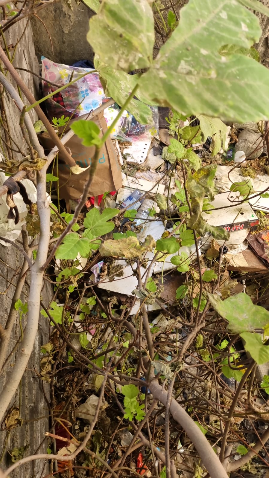 “Non ce la facciamo più”: il grido di aiuto da via Condorelli a Paternò