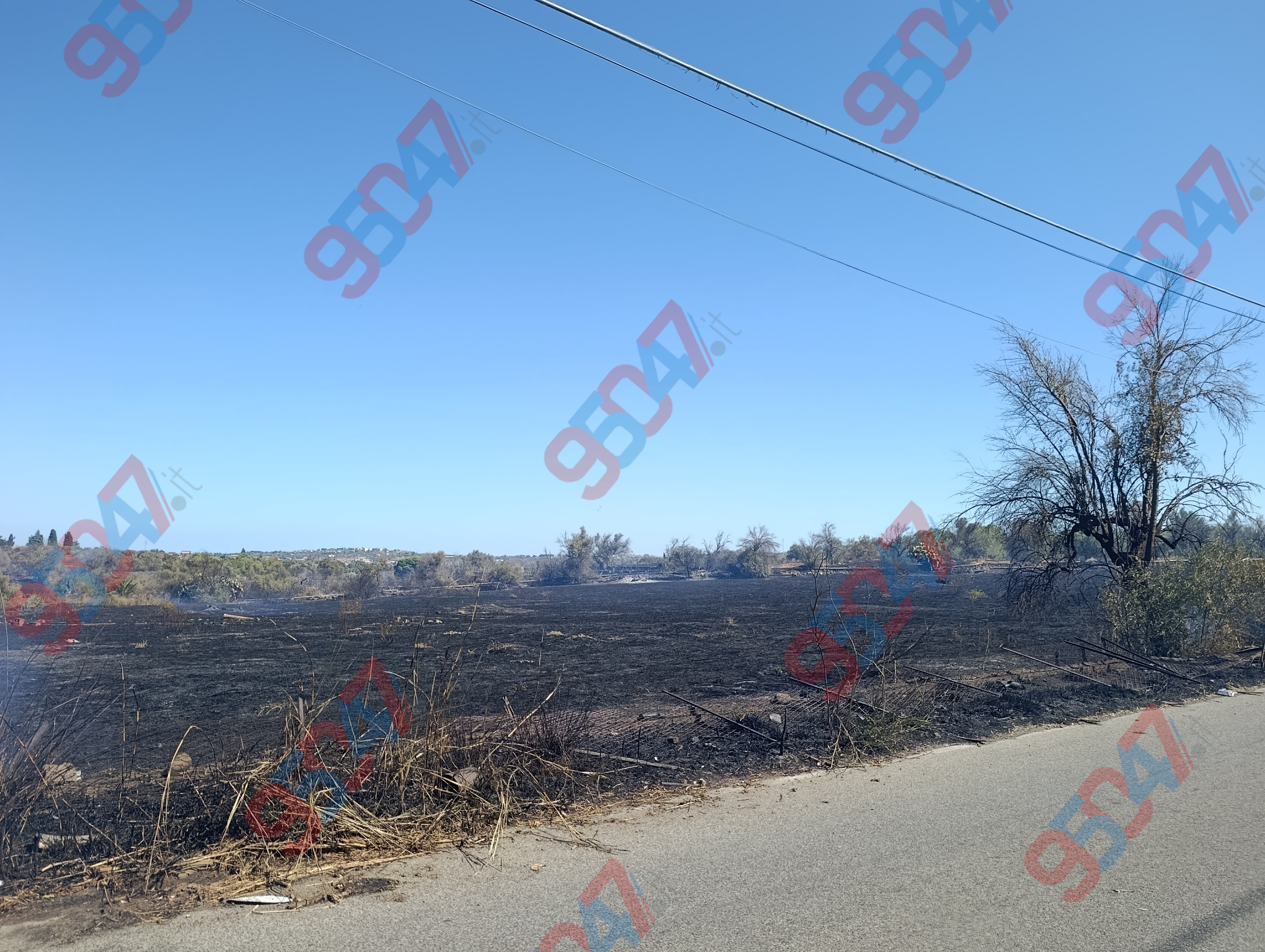 Vasto incendio in corso tra Belpasso e Paternò: ulivi e rovi distrutti dalle fiamme in azione Vigili del Fuoco, Forestale e Protezione Civile