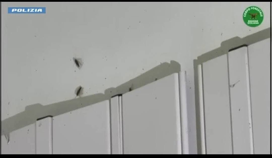 AEROPORTO DI CATANIA, TASK FORCE IN AZIONE: 3 BAR CHIUSI PER BLATTE E IGIENE SHOCK, MA ALTRI 3 SUPERANO I CONTROLLI