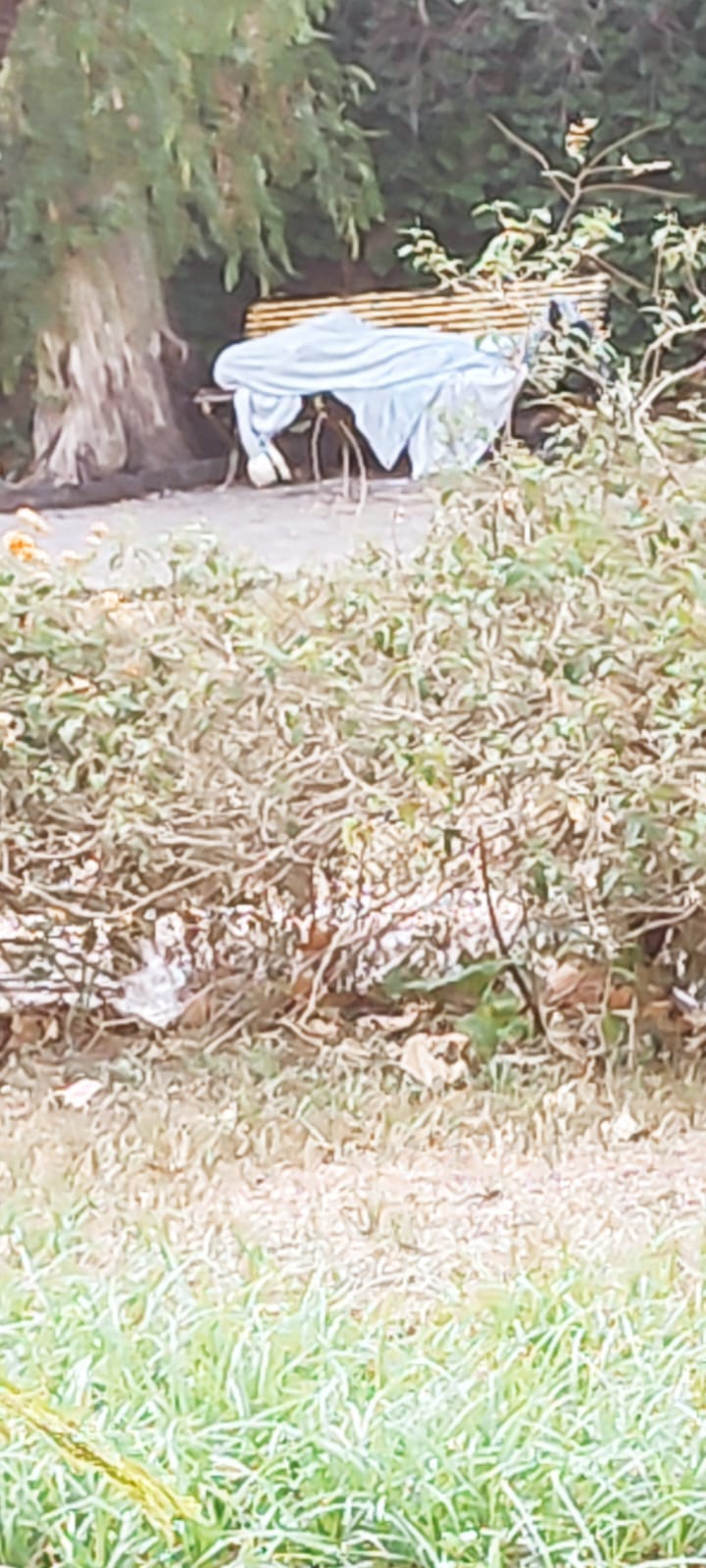 Paternò, degrado a Villa Moncada: extracomunitari dormono sulle panchine, rifiuti tra i viali e luci all’ex albergo Sicilia