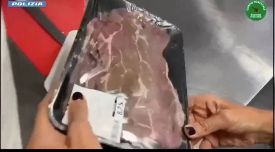 AEROPORTO DI CATANIA, TASK FORCE IN AZIONE: 3 BAR CHIUSI PER BLATTE E IGIENE SHOCK, MA ALTRI 3 SUPERANO I CONTROLLI