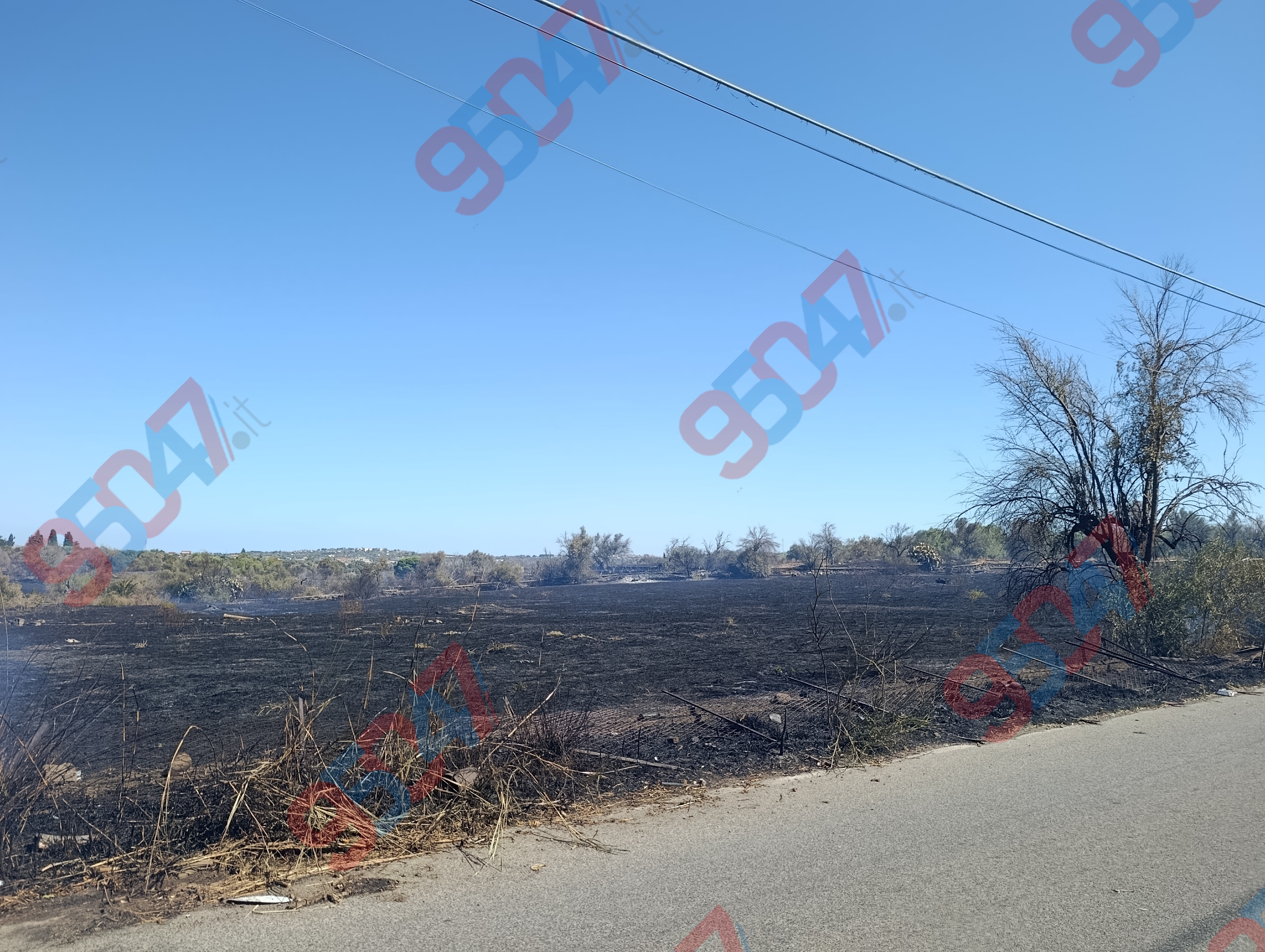 Vasto incendio in corso tra Belpasso e Paternò: ulivi e rovi distrutti dalle fiamme in azione Vigili del Fuoco, Forestale e Protezione Civile