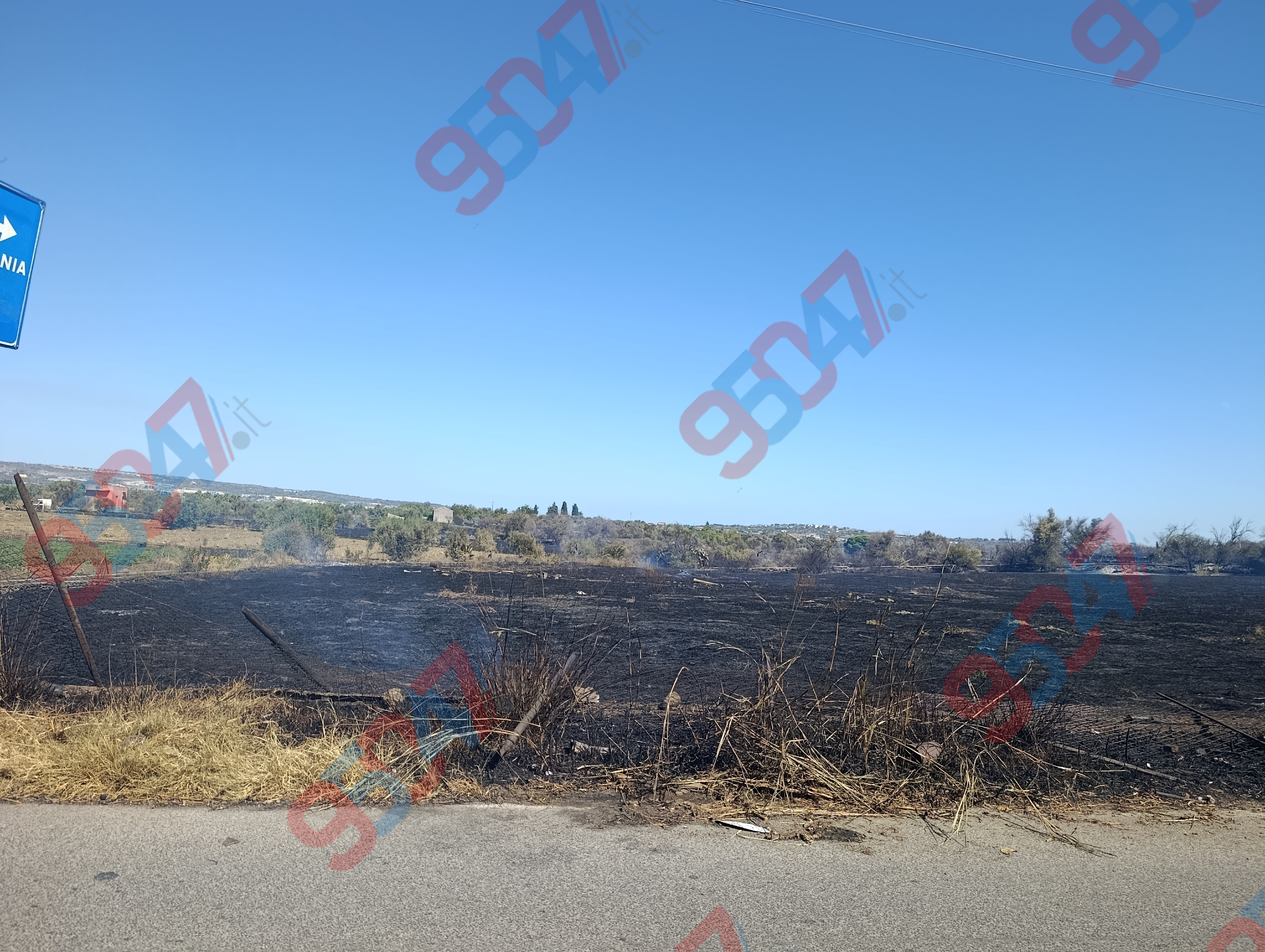 Vasto incendio in corso tra Belpasso e Paternò: ulivi e rovi distrutti dalle fiamme in azione Vigili del Fuoco, Forestale e Protezione Civile