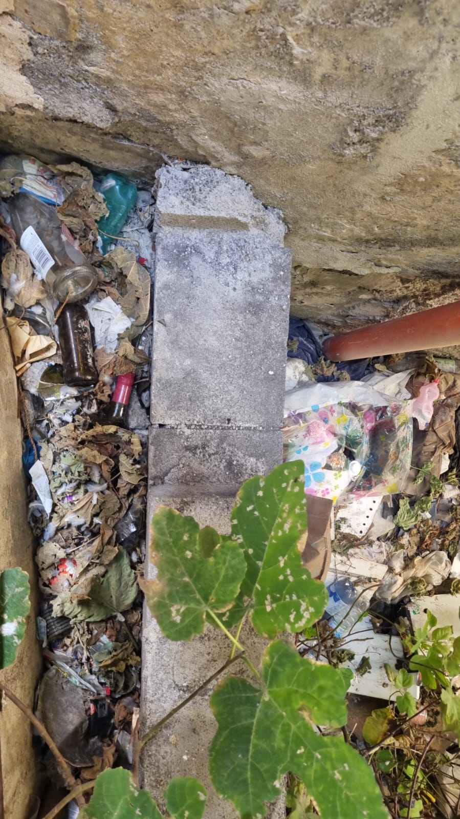 “Non ce la facciamo più”: il grido di aiuto da via Condorelli a Paternò