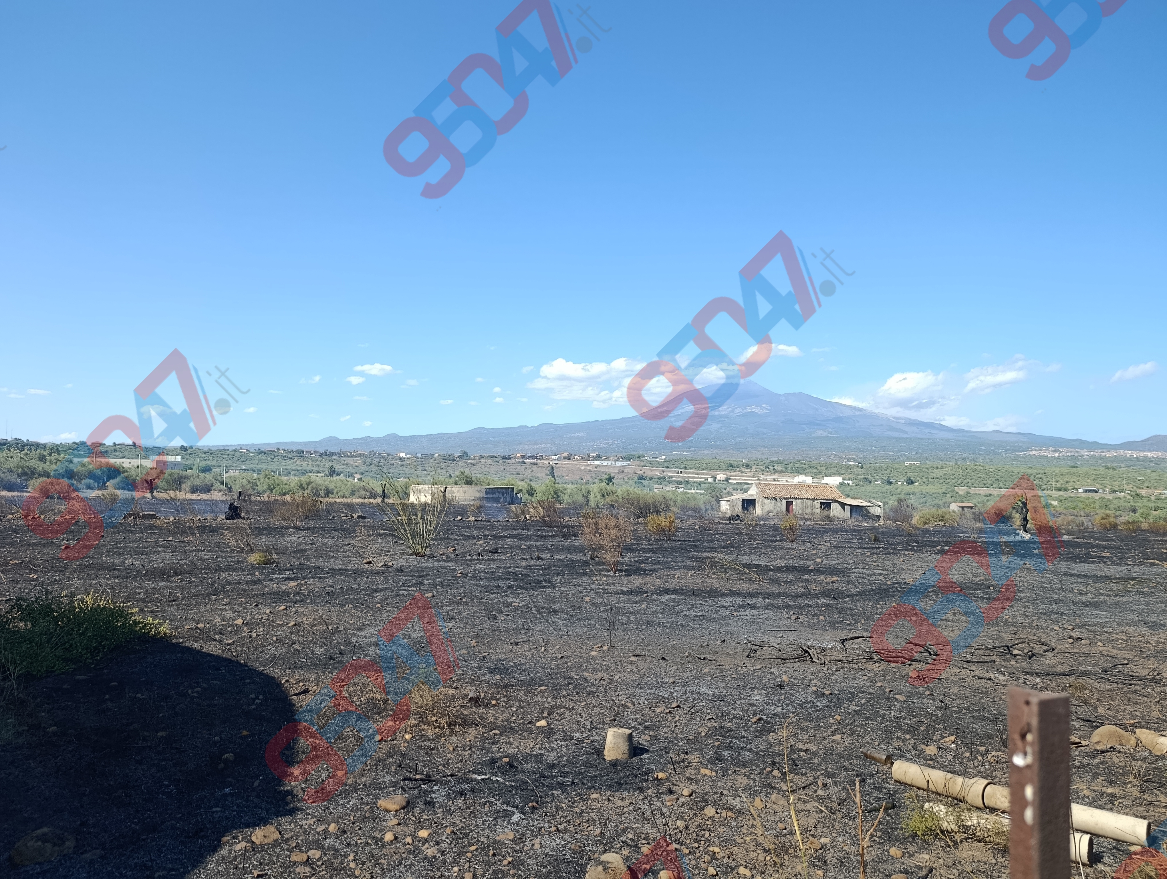 Vasto incendio in corso tra Belpasso e Paternò: ulivi e rovi distrutti dalle fiamme in azione Vigili del Fuoco, Forestale e Protezione Civile