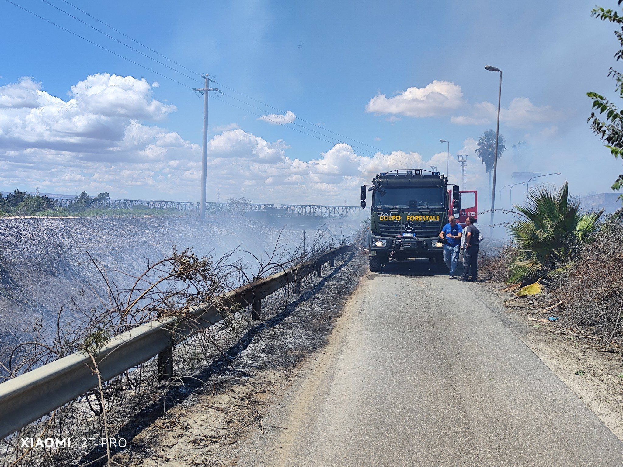 INCENDI DEVASTANO L’OASI DEL SIMETO: STRAGE DI ANIMALI SELVATICI, RISERVA NATURALE IN CENERE ED ECOSISTEMA GRAVEMENTE COMPROMESSO
