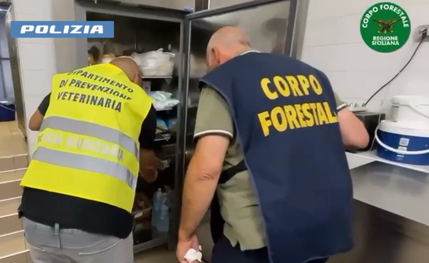 Catania, blatte in laboratorio: chiuso locale sul lungomare e multa da 14.720 euro