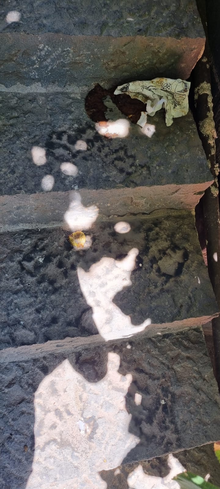 “Non ce la facciamo più”: il grido di aiuto da via Condorelli a Paternò