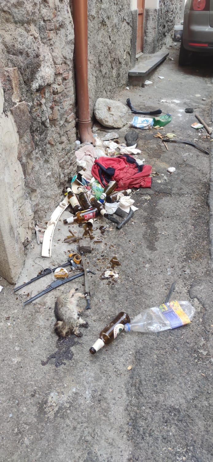 SEGNALAZIONE DI DEGRADO: GATTO MORTO E SPORCIZIA NELLA SCALINATA TRA VIA VITTORIO EMANUELE E VIA PREVOSTO PULVIRENTI