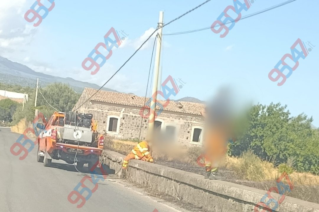 Vasto incendio in corso tra Belpasso e Paternò: ulivi e rovi distrutti dalle fiamme in azione Vigili del Fuoco, Forestale e Protezione Civile