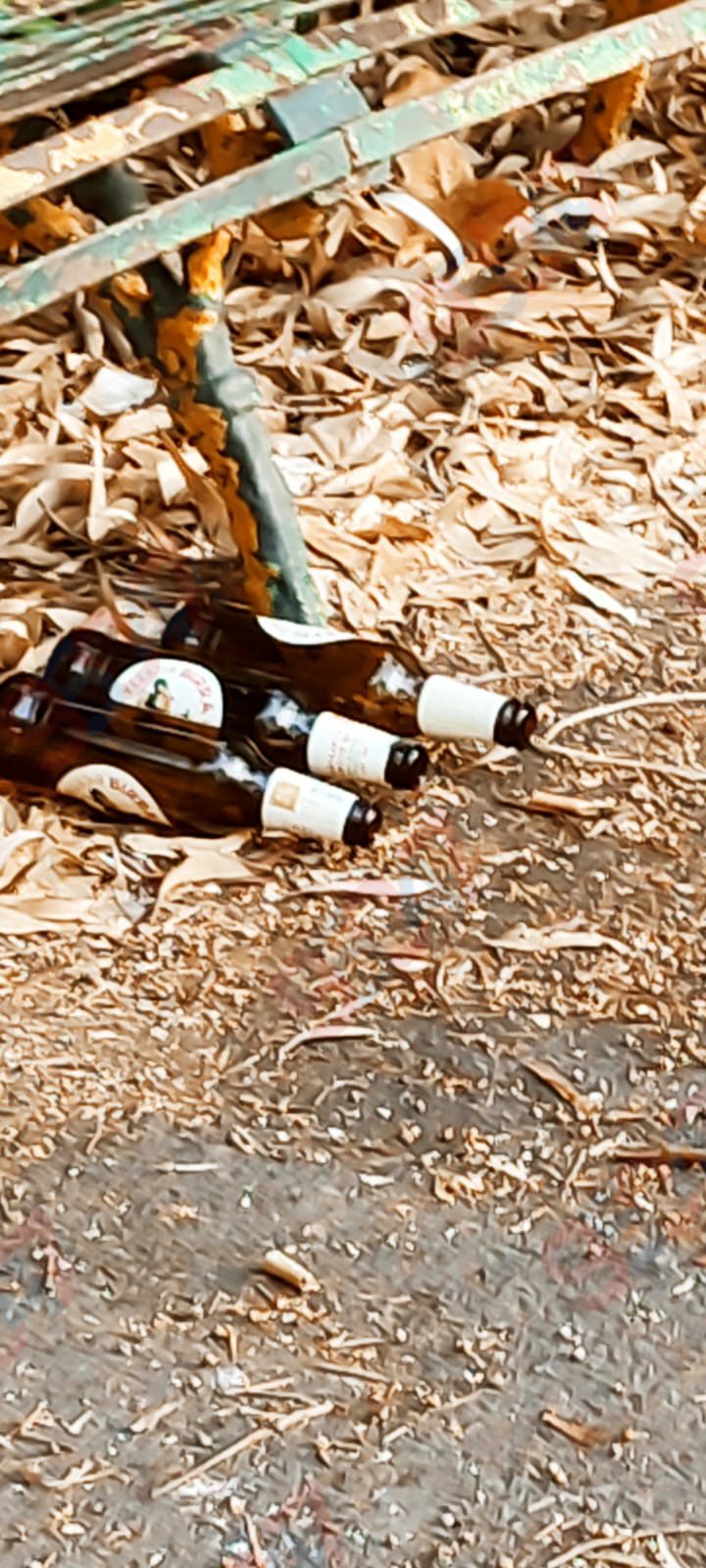 Paternò, degrado a Villa Moncada: extracomunitari dormono sulle panchine, rifiuti tra i viali e luci all’ex albergo Sicilia